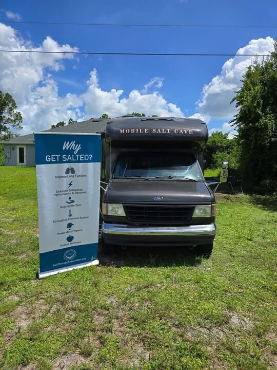 Ford E-350