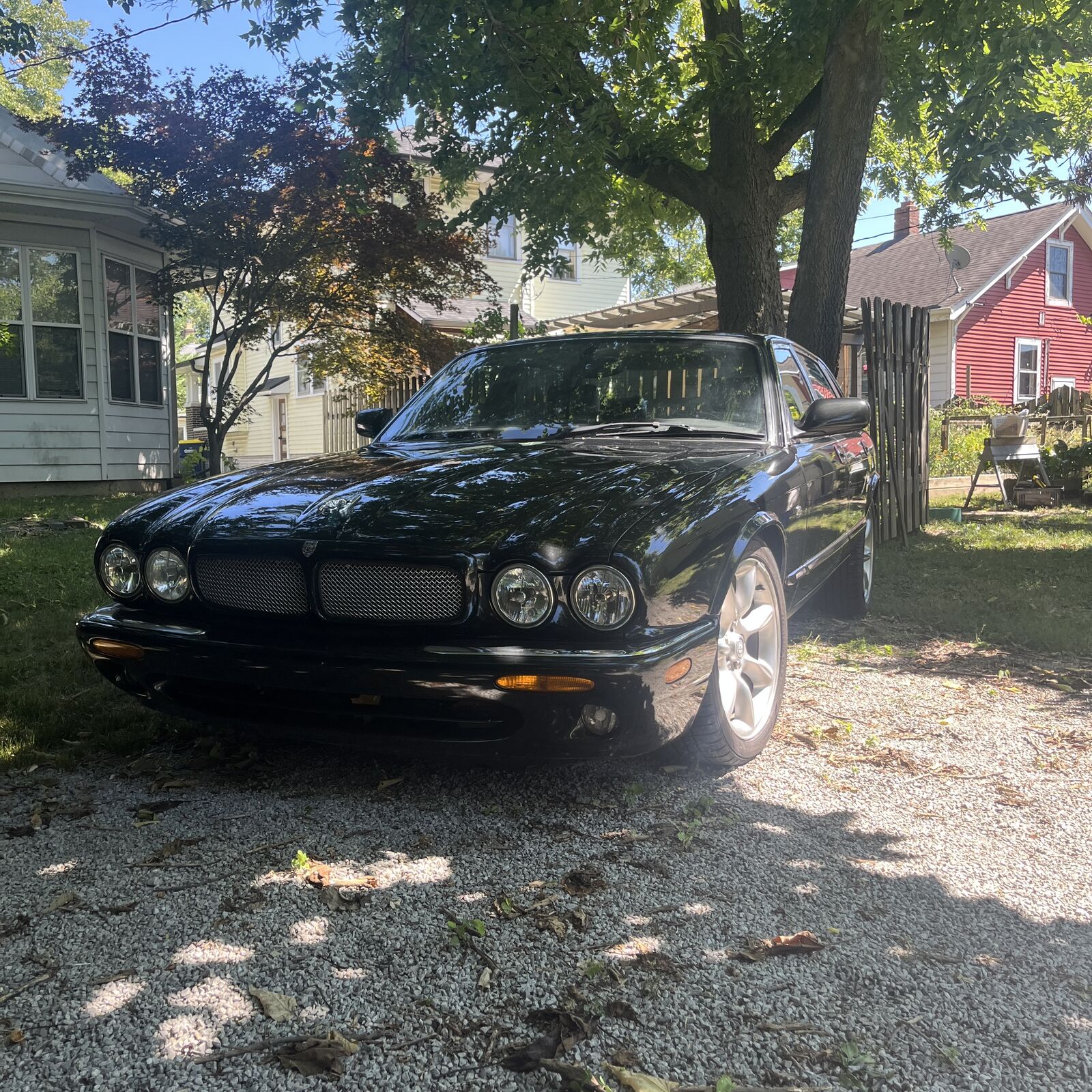 Jaguar XJR