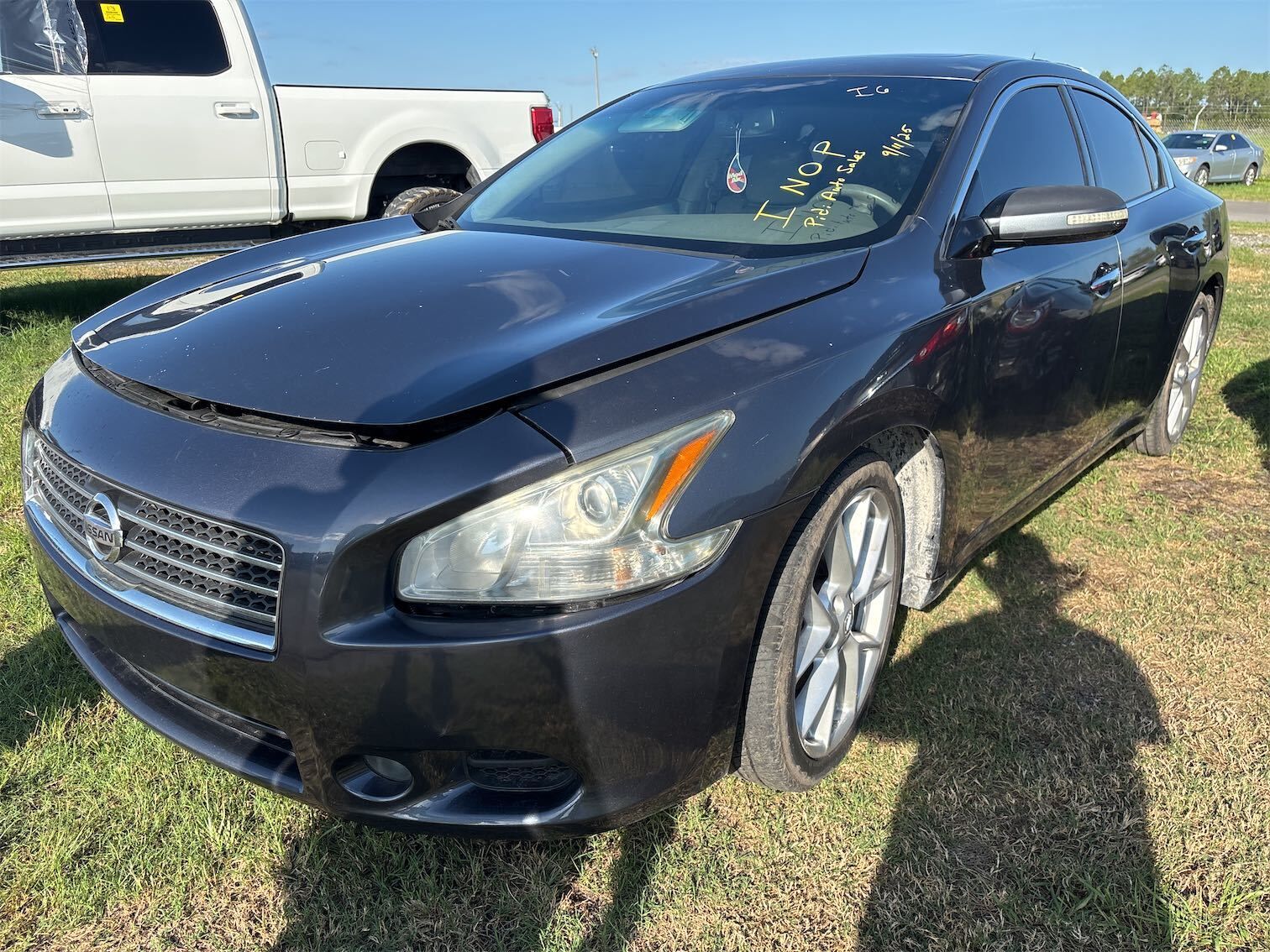 Nissan Maxima