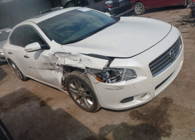 Nissan Maxima