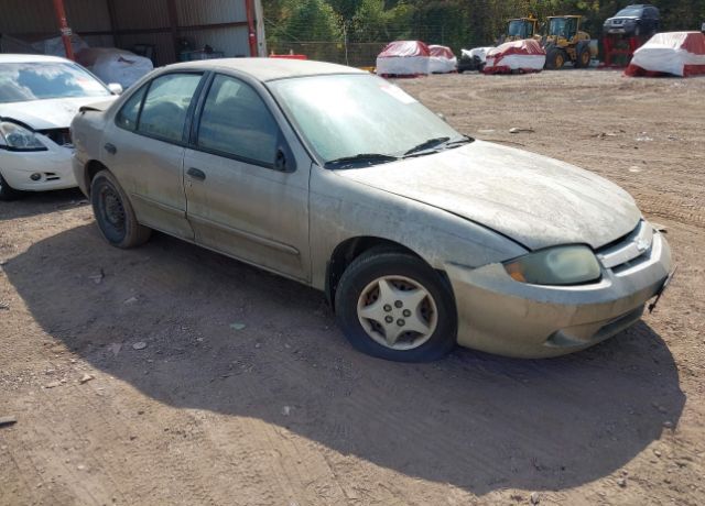 Chevrolet Cavalier