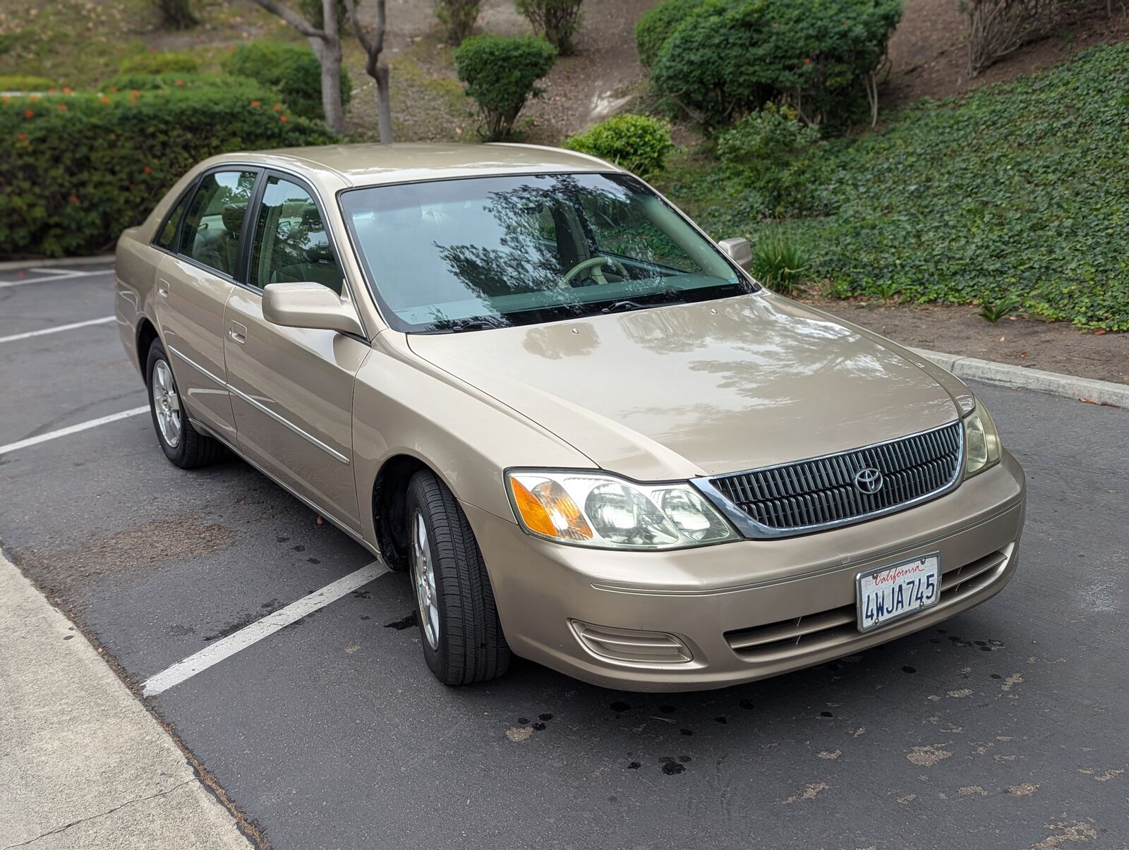 Toyota Avalon