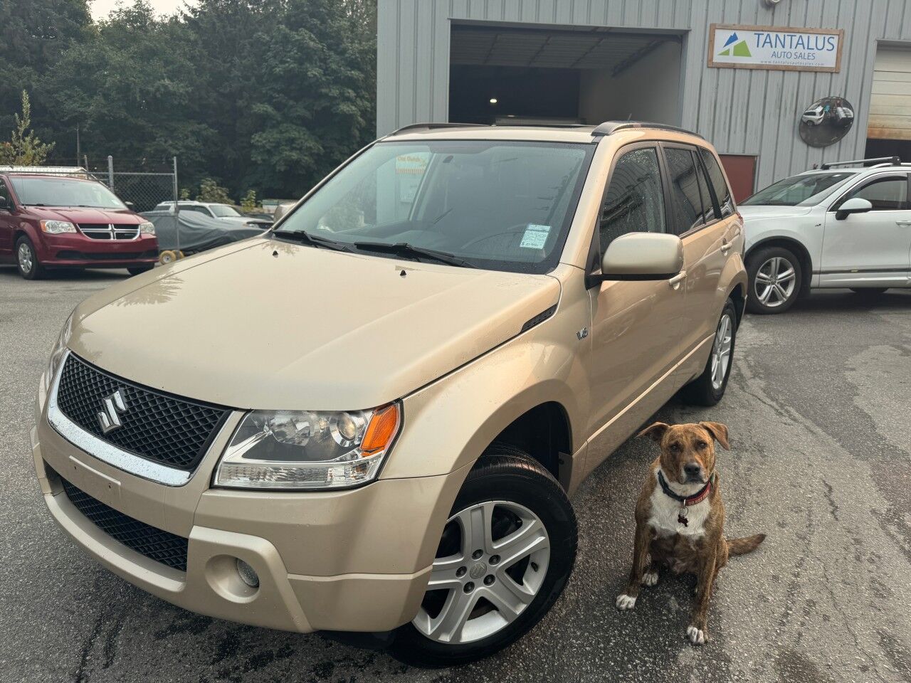 Suzuki Grand Vitara