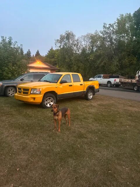 Dodge Dakota