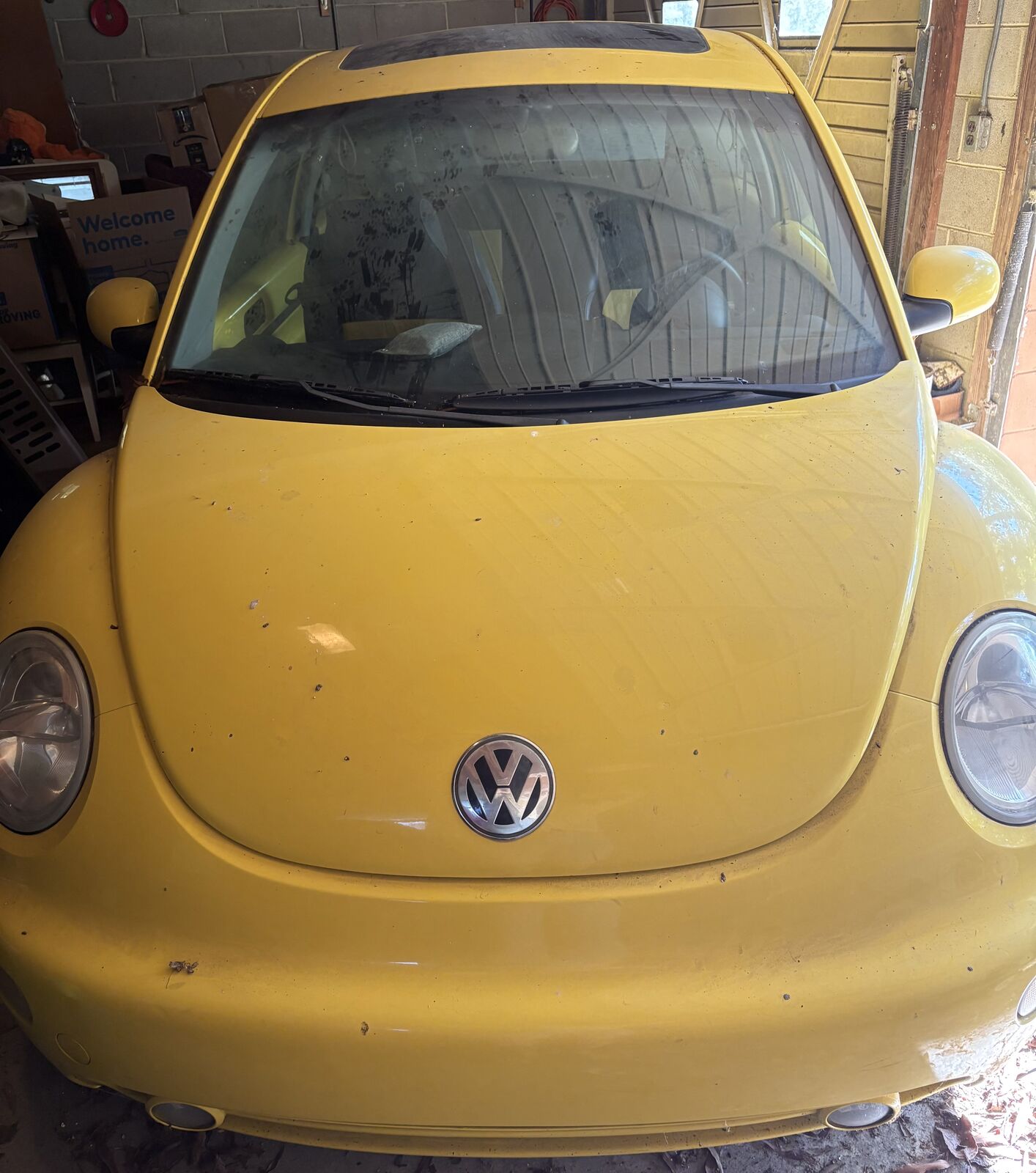 Volkswagen Beetle