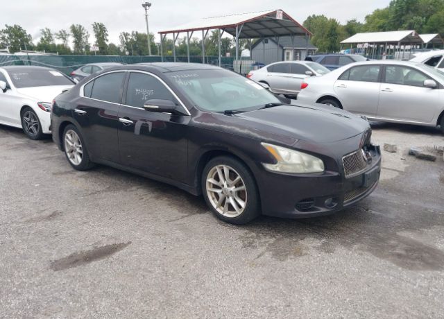 Nissan Maxima