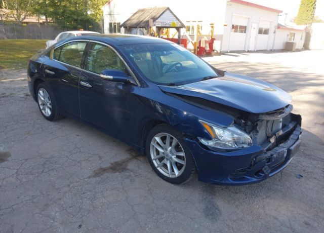 Nissan Maxima