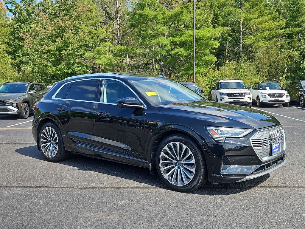 2019 Audi e-tron