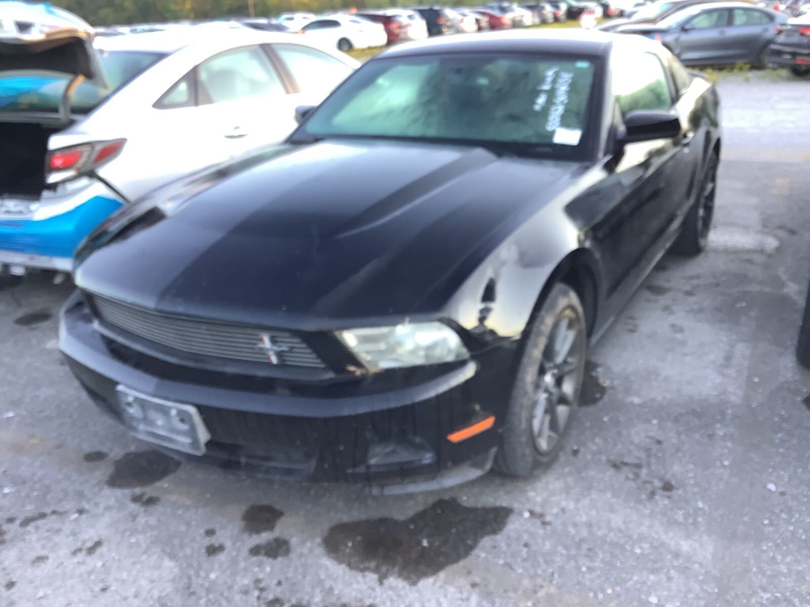 Ford Mustang
