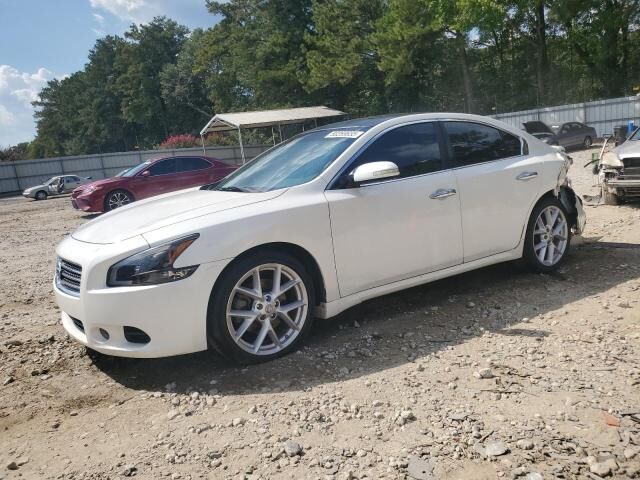 Nissan Maxima