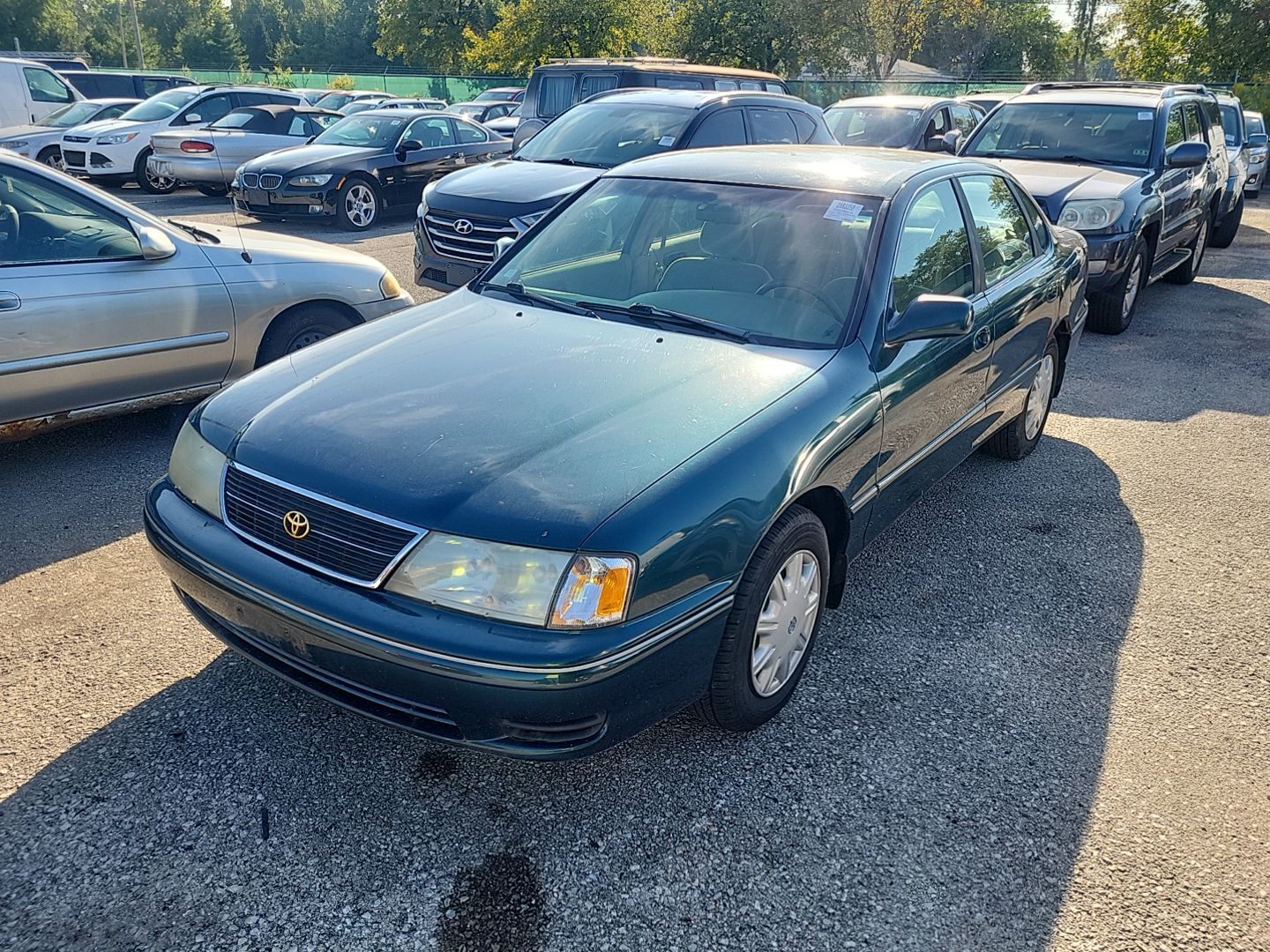 Toyota Avalon