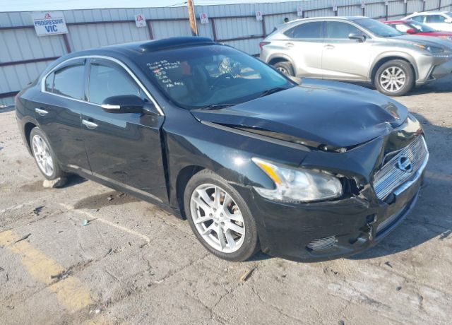 Nissan Maxima