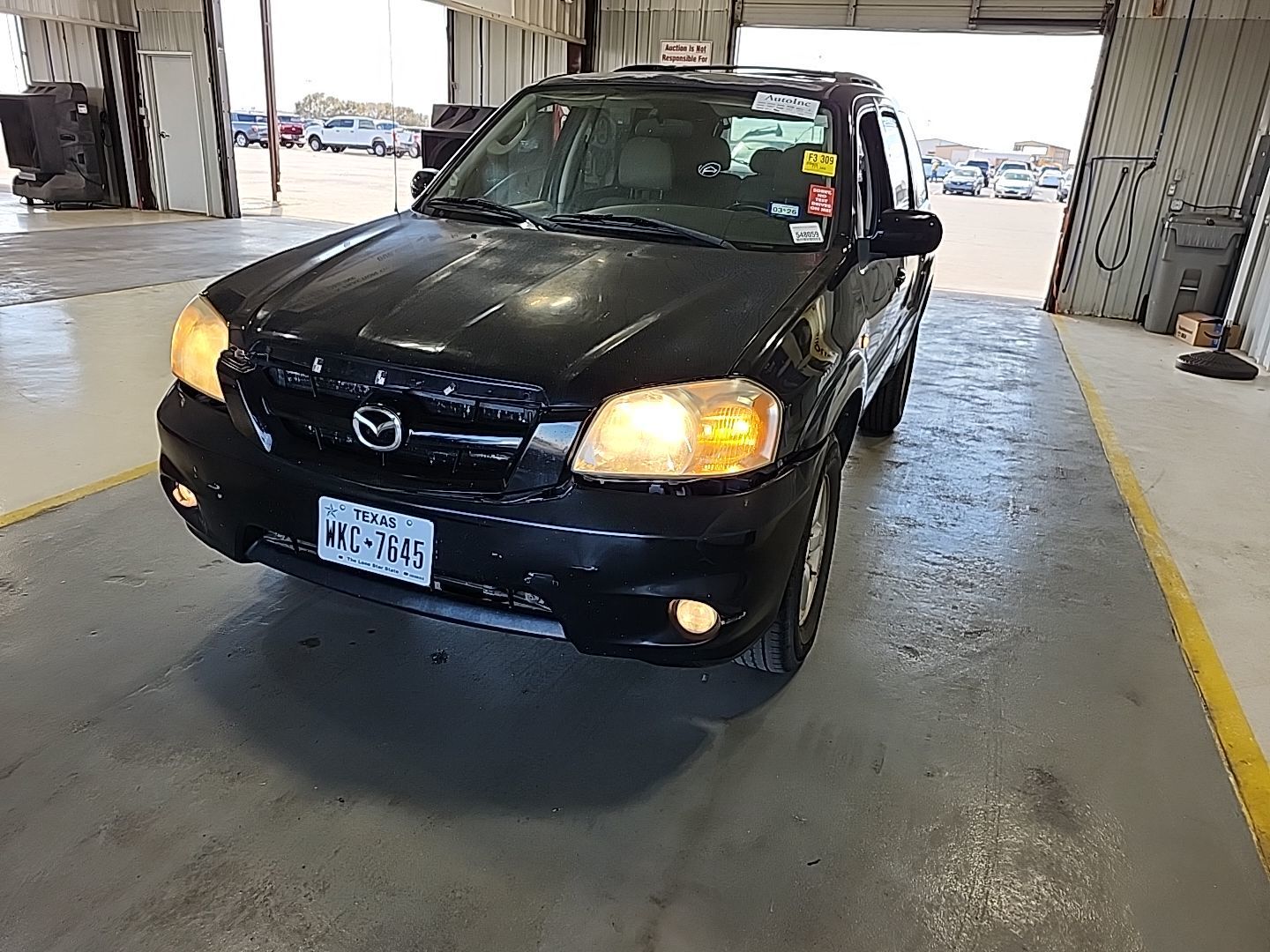 Mazda Tribute