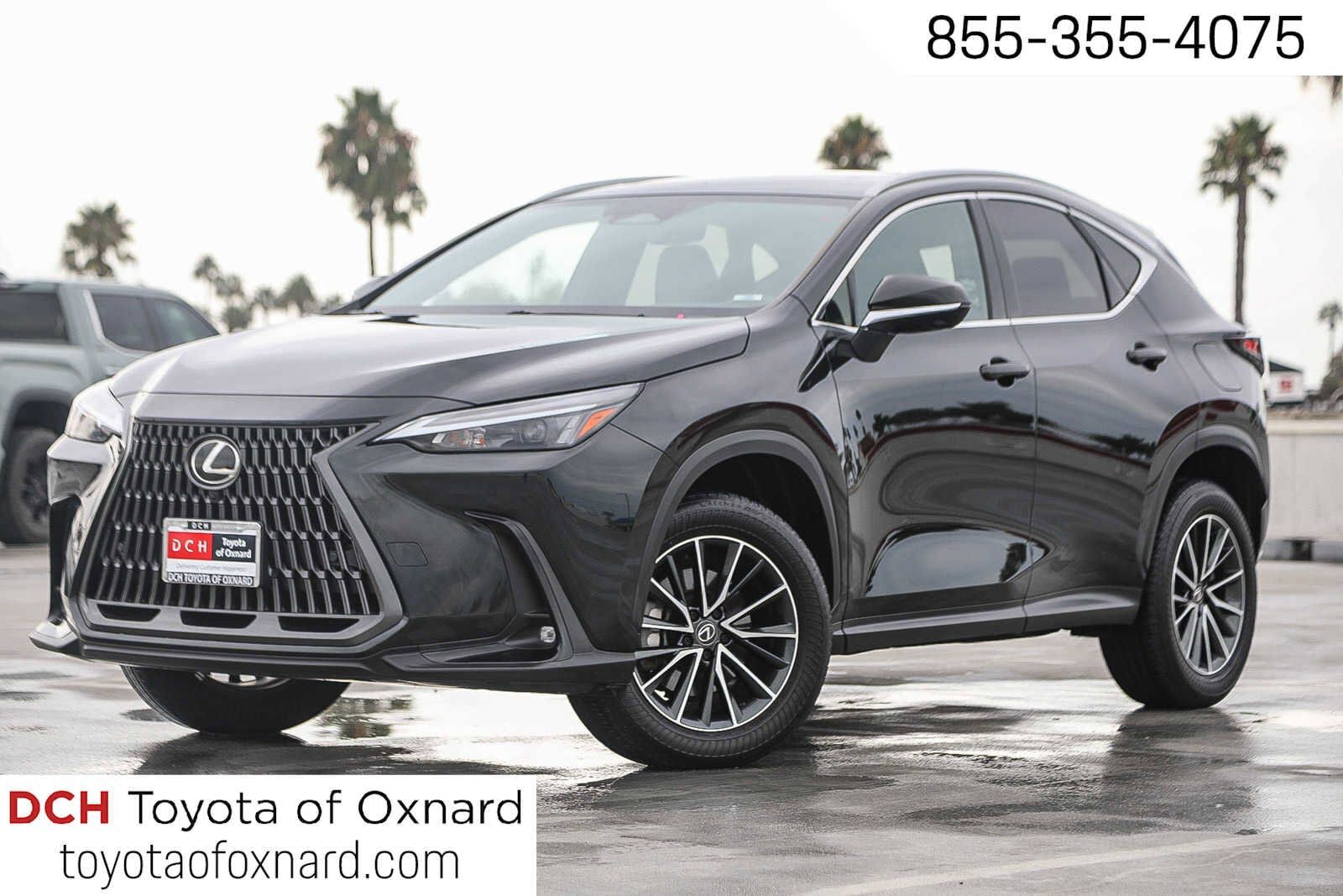 2024 LEXUS NX