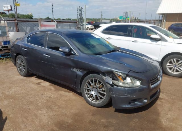 Nissan Maxima