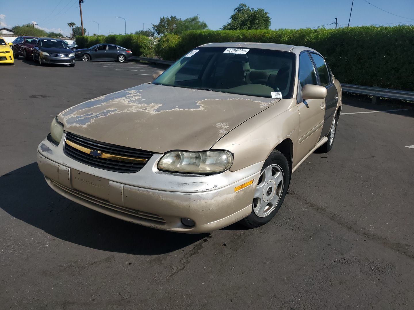 Chevrolet Malibu