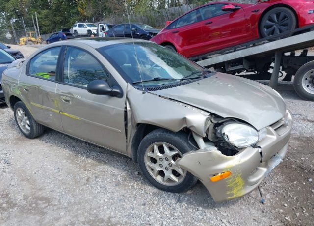 Dodge Neon