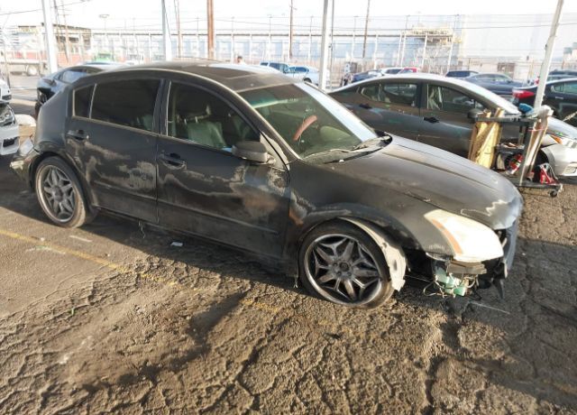 Nissan Maxima