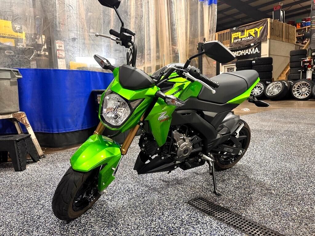 2017 KAWASAKI Z125 PRO
