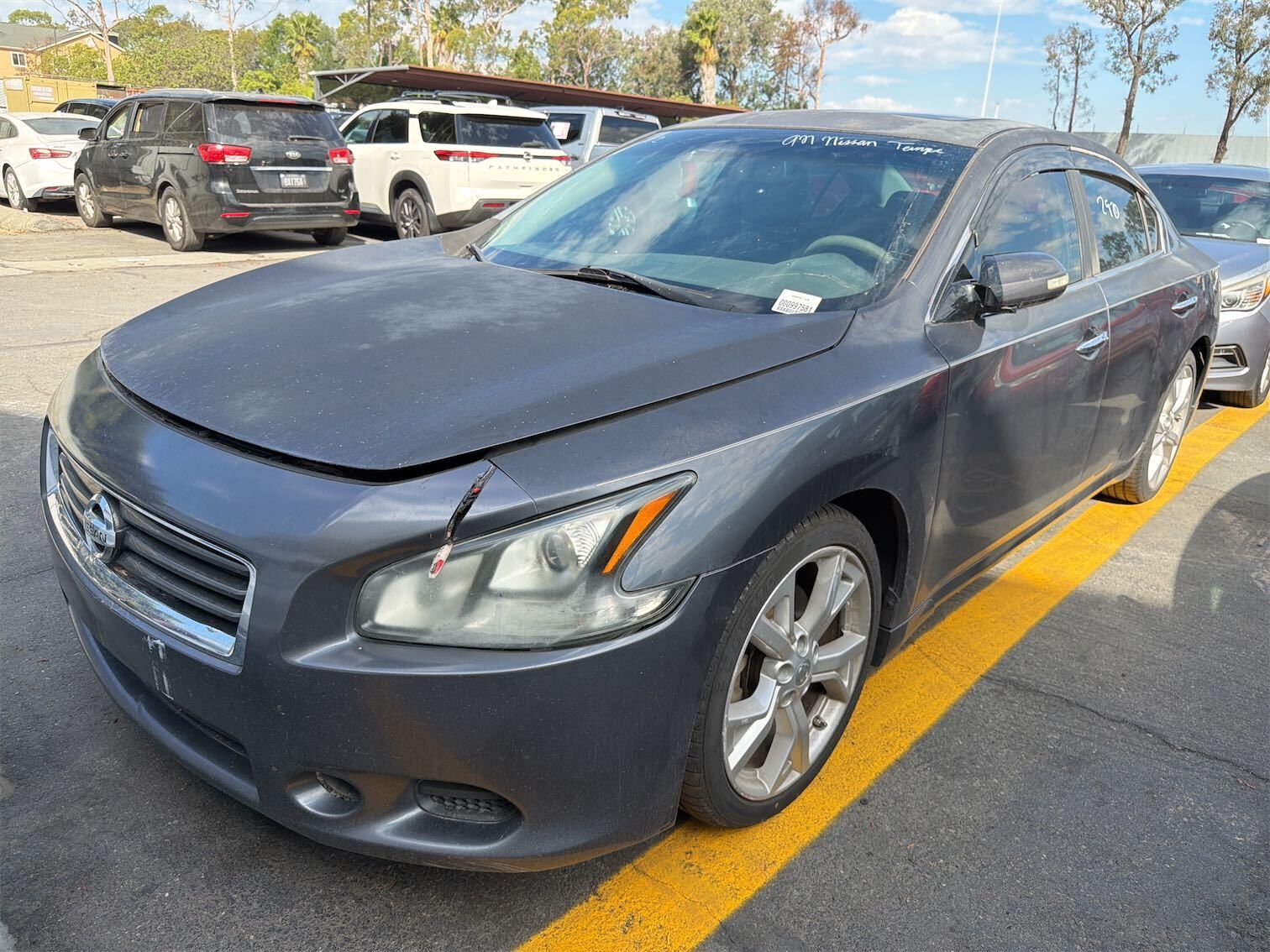 Nissan Maxima