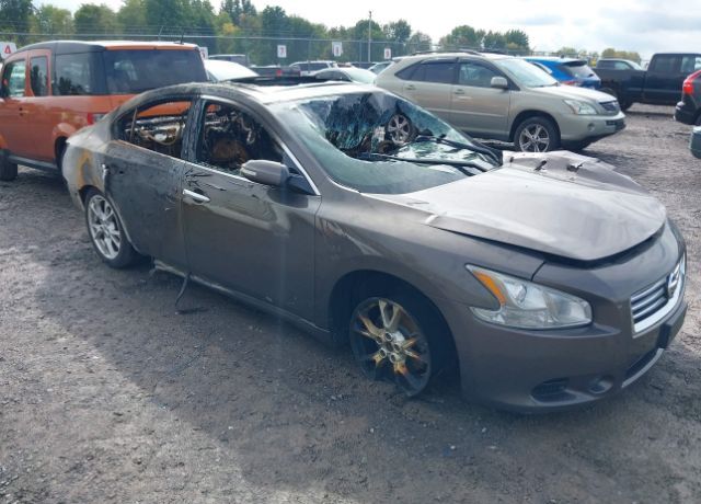 Nissan Maxima