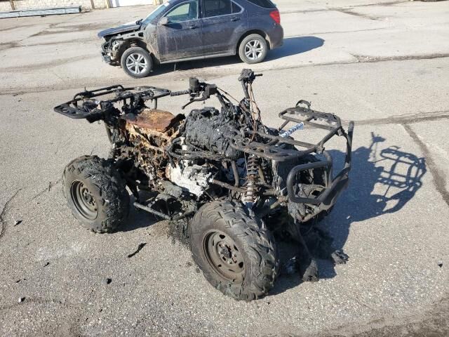Honda TRX500