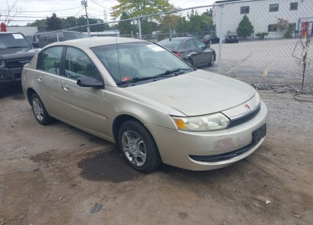Saturn Ion