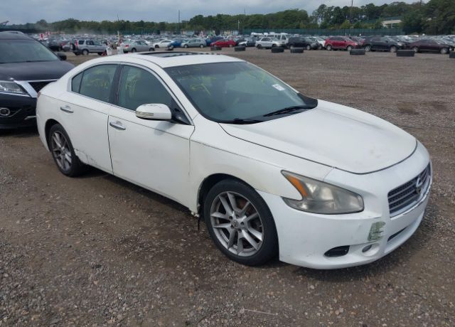 Nissan Maxima
