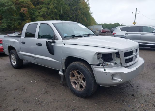 Dodge Dakota