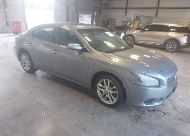 Nissan Maxima