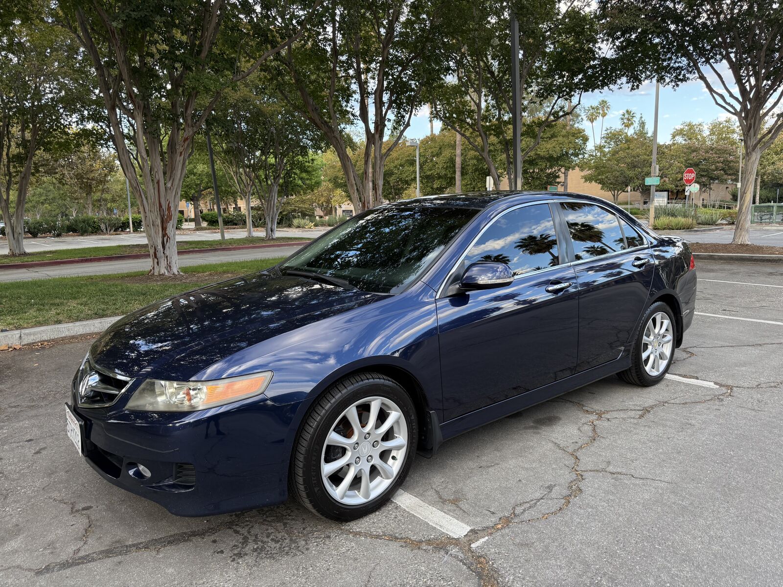 Acura TSX