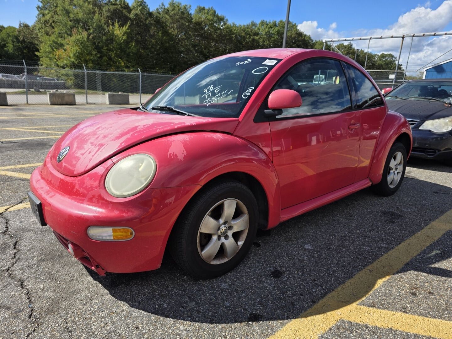Volkswagen Beetle