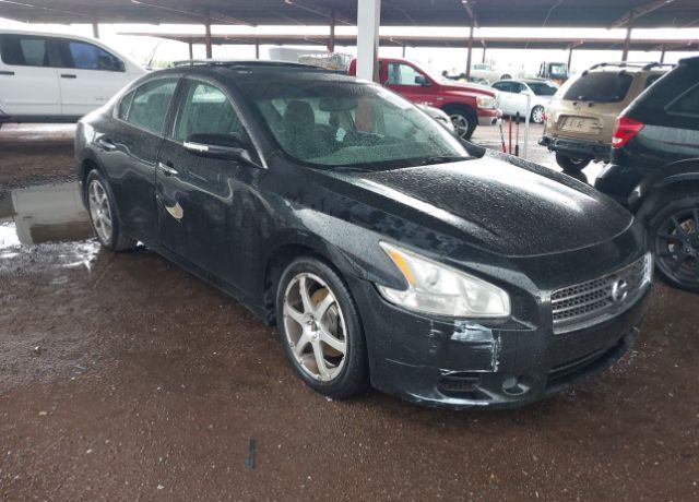 Nissan Maxima