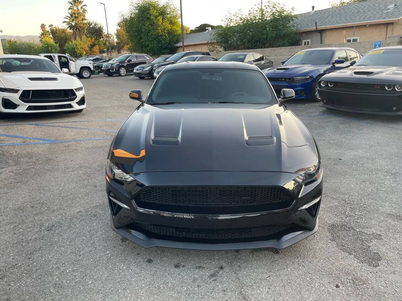 2020 FORD Mustang