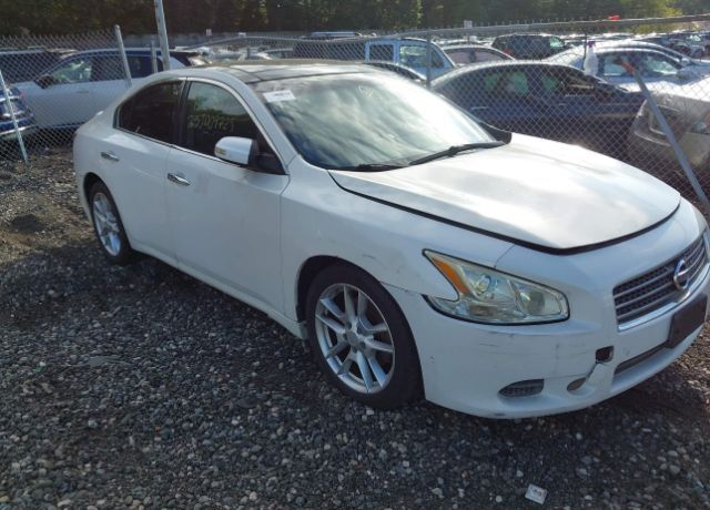 Nissan Maxima