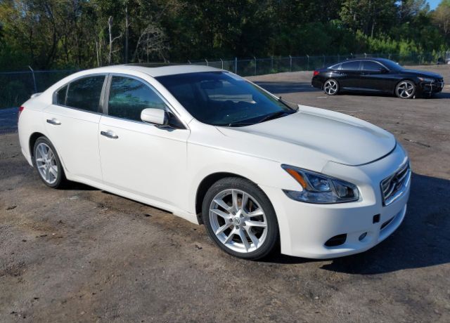 Nissan Maxima