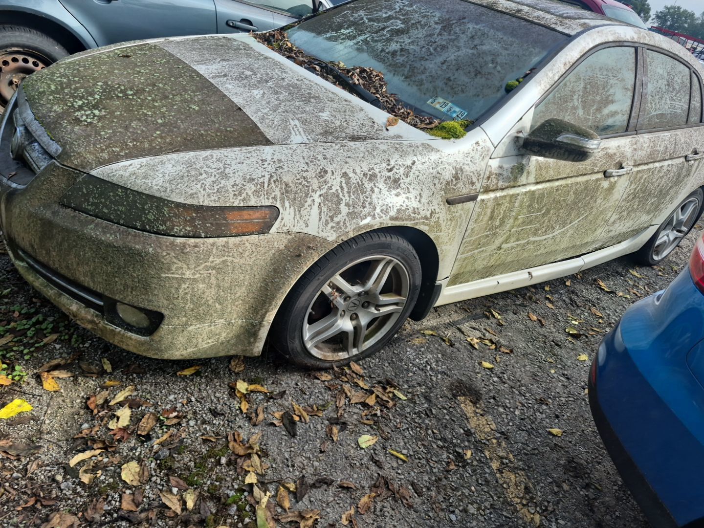Acura TL