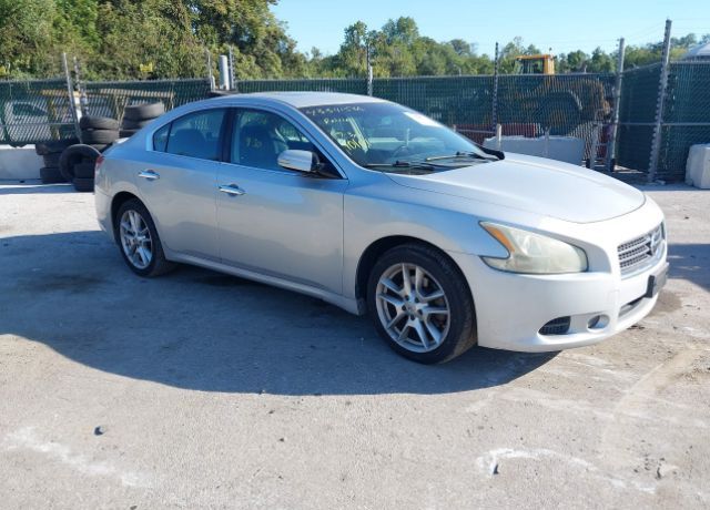 Nissan Maxima