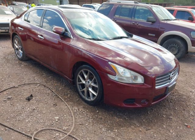 Nissan Maxima