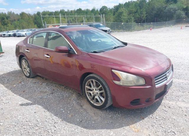 Nissan Maxima