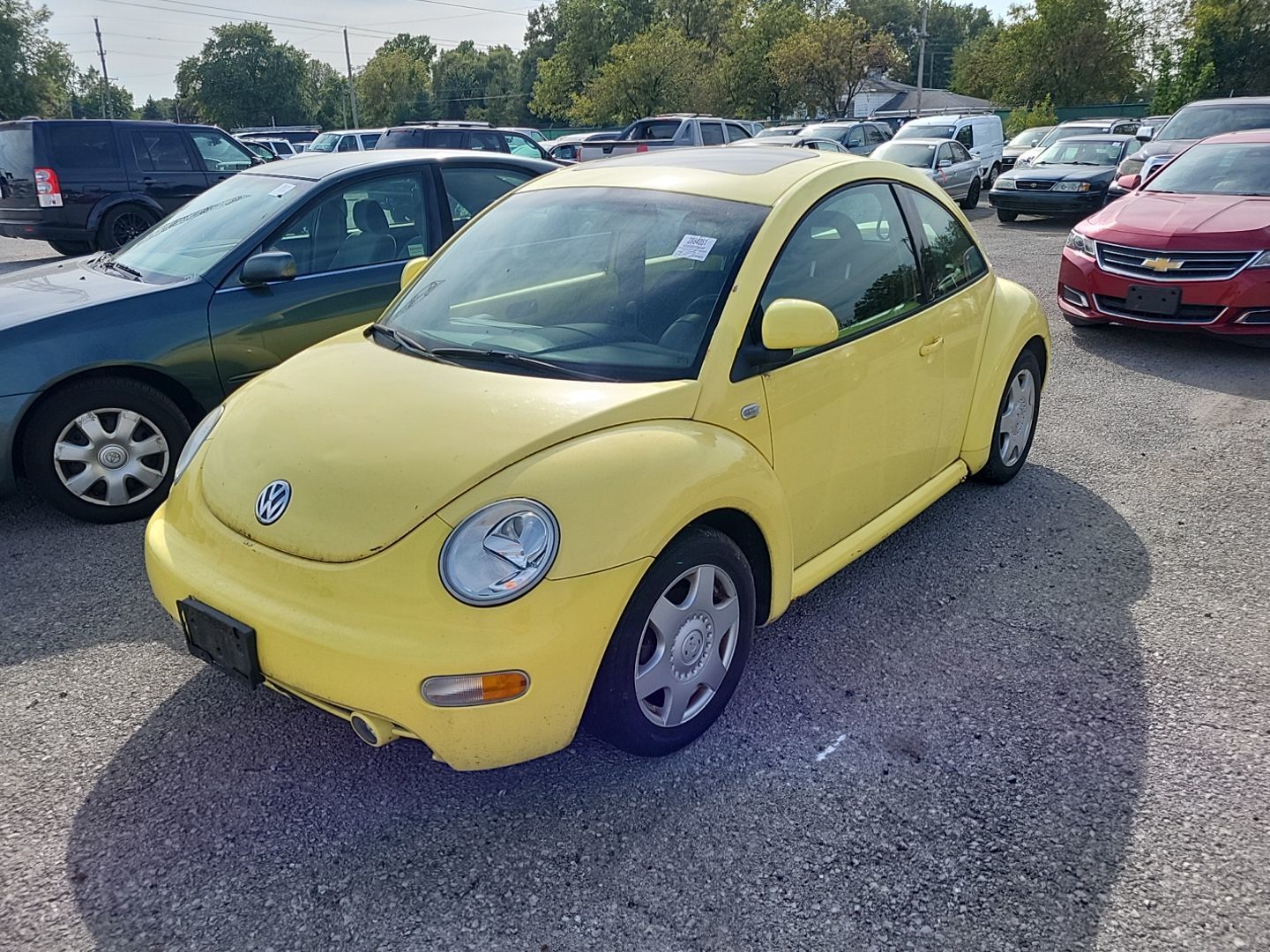 Volkswagen Beetle