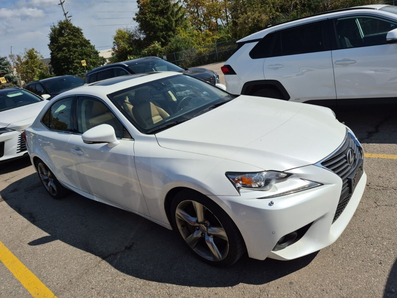 Lexus IS