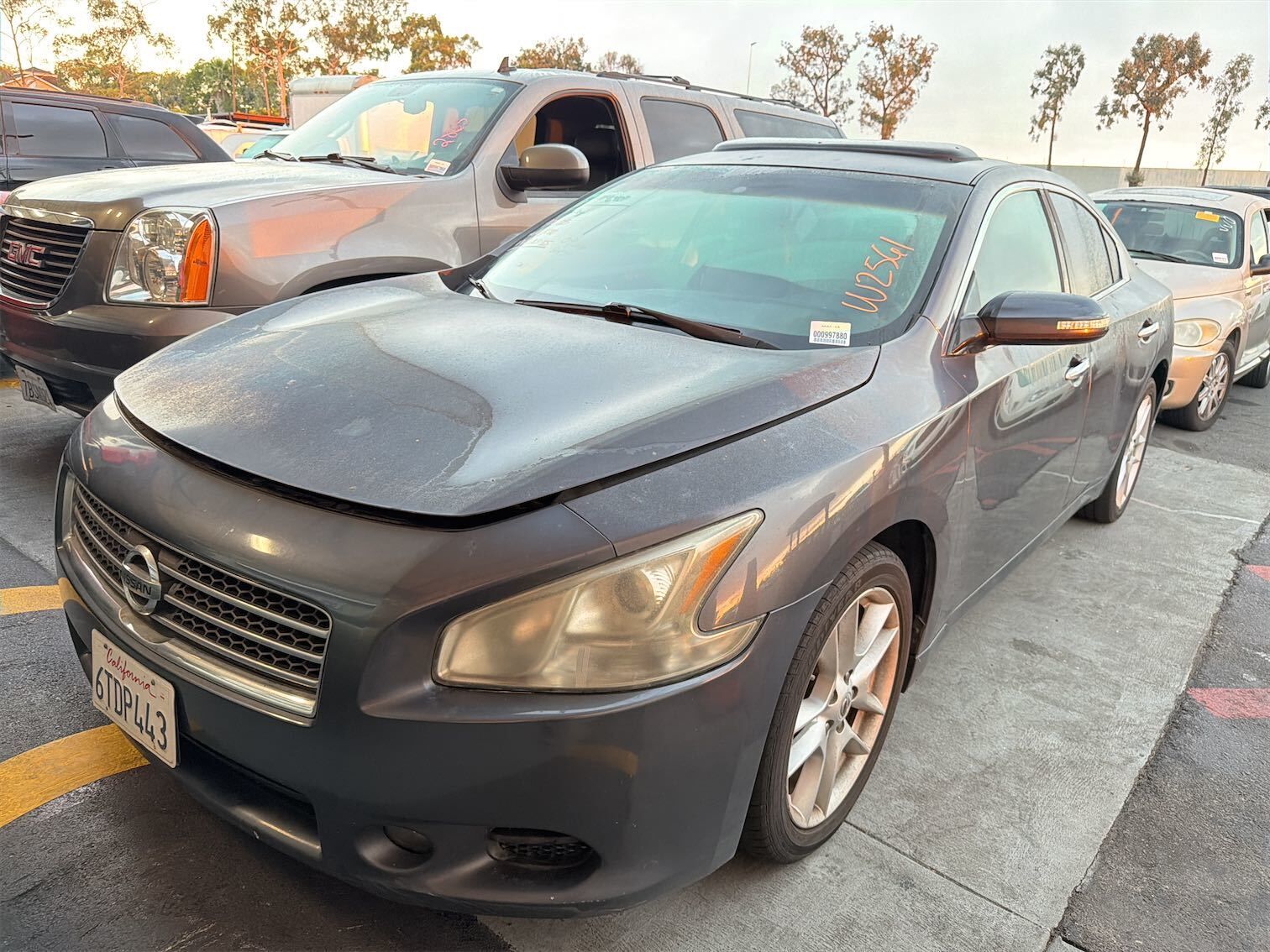 Nissan Maxima