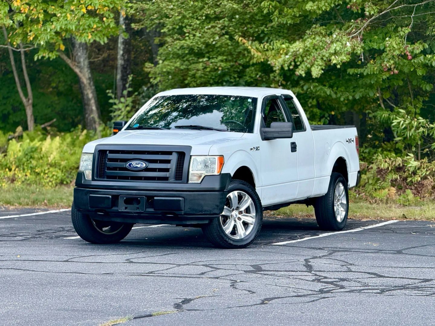 2010 FORD F-150
