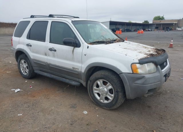 Ford Escape