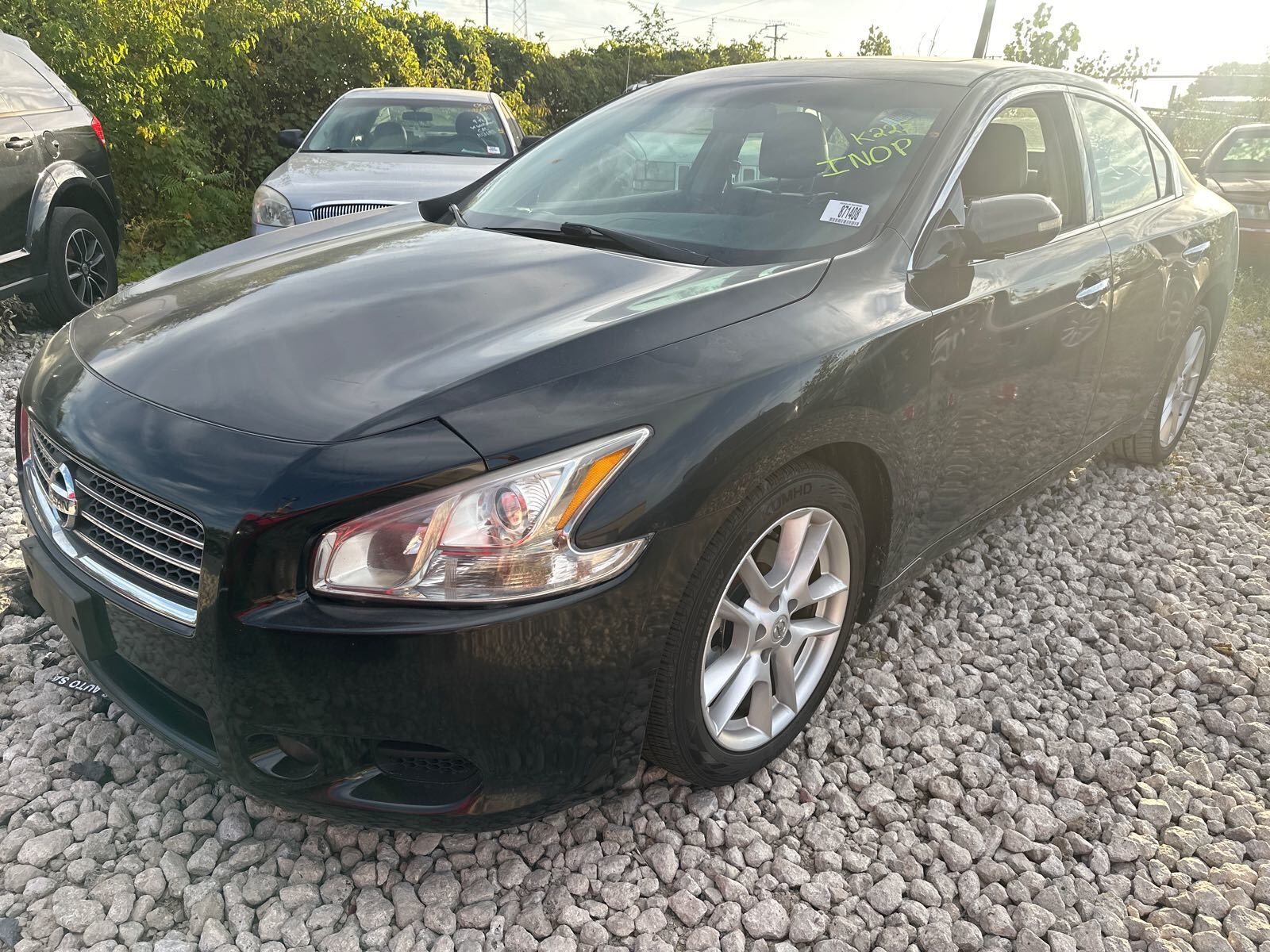 Nissan Maxima