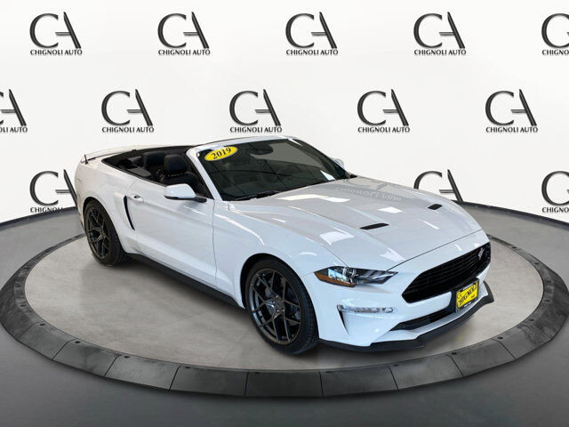 2019 FORD Mustang