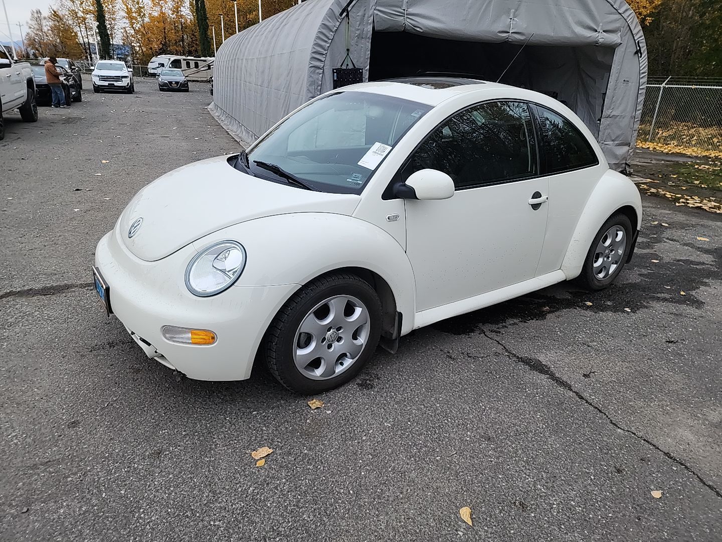 Volkswagen Beetle