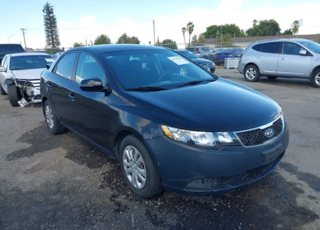 Kia Forte