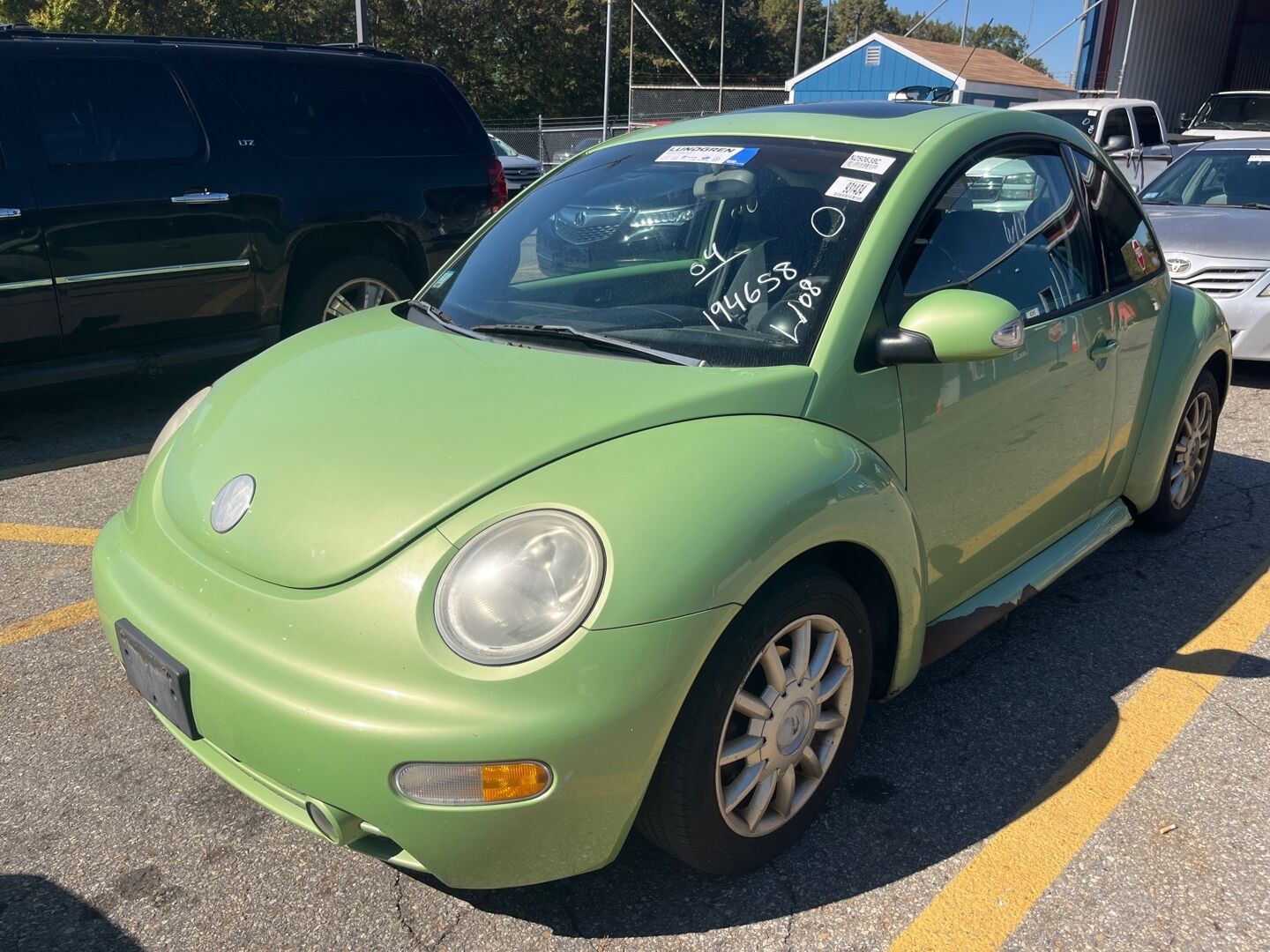 Volkswagen Beetle